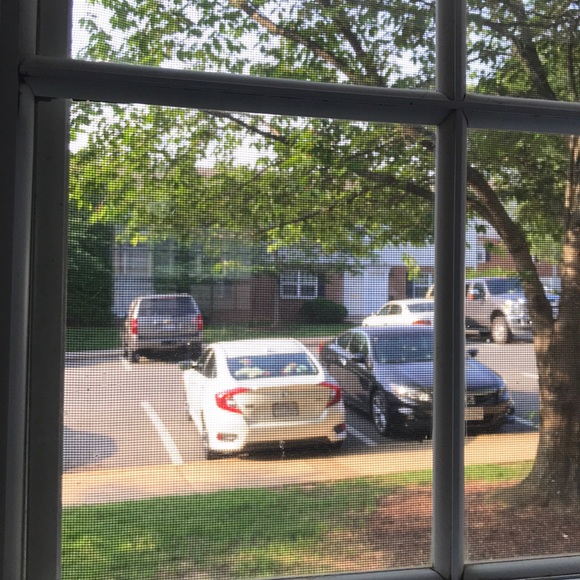 Meet your Posher, Trinh - Picture 1 of 1